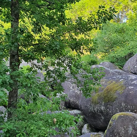 D'hotes Dans Un -tarn Lacrouzette
