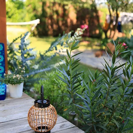 Kır Evi D'hotes Dans Un -tarn Lacrouzette