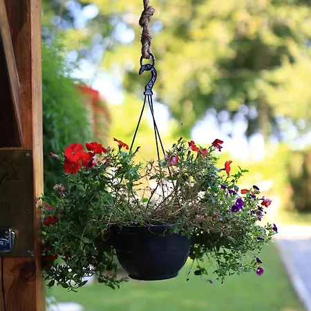 D'hotes Dans Un -tarn Lacrouzette