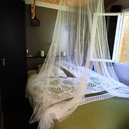 D'hotes Dans Un -tarn Kır Evi