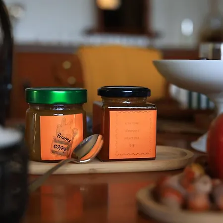 Kır Evi D'hotes Dans Un -tarn *