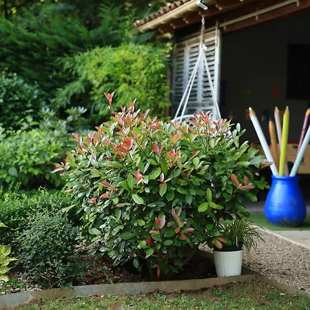 D'hotes Dans Un -tarn Летний дом