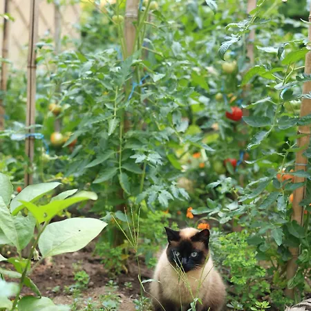 Casa di campagna A l'école buissonnière *